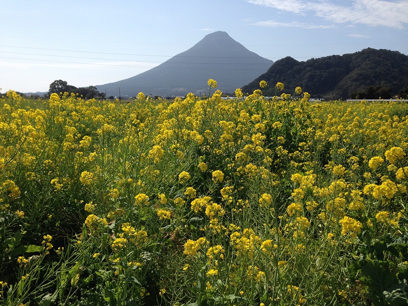 開聞岳