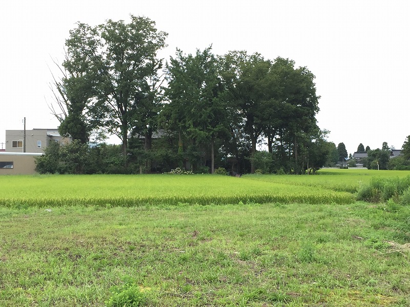屋敷林