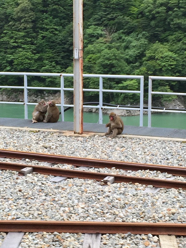トロッコ列車