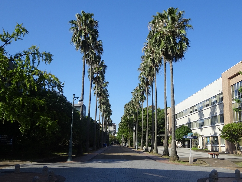 鹿児島大学郡元キャンパス