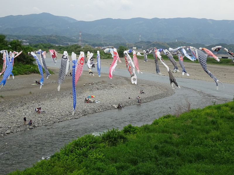 紀の川