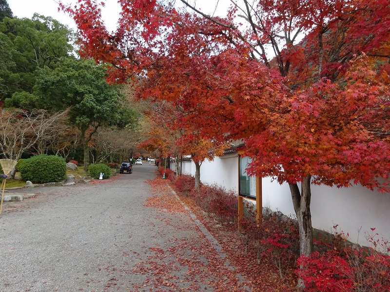 紅葉谷公園