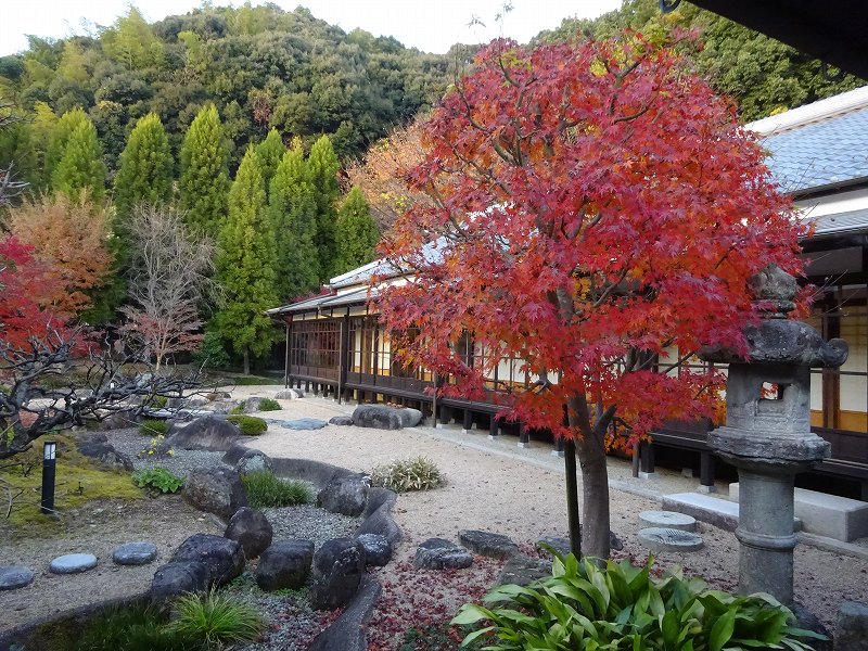 菜香亭庭園