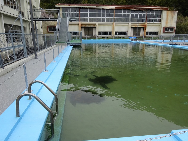 むろと廃校水族館