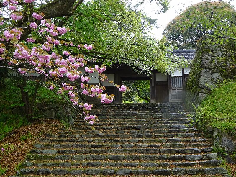 秋月城長屋門