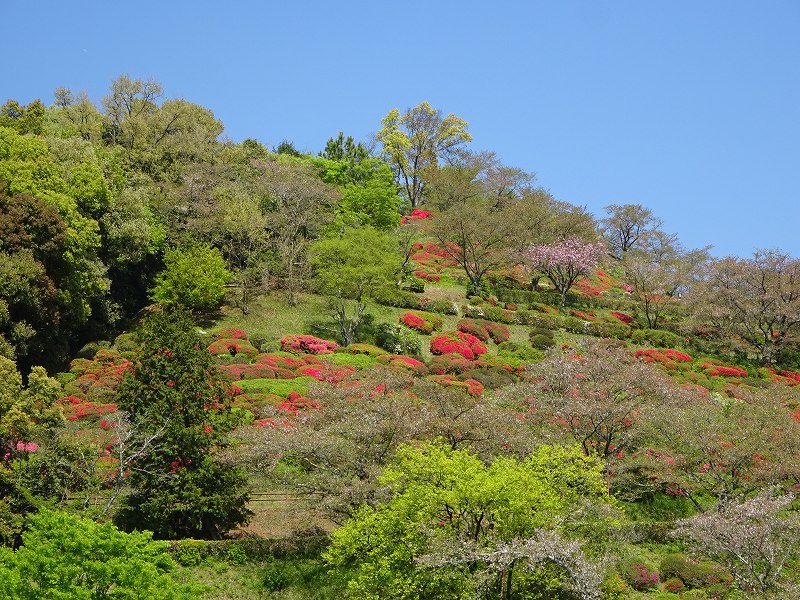 日輪寺公園