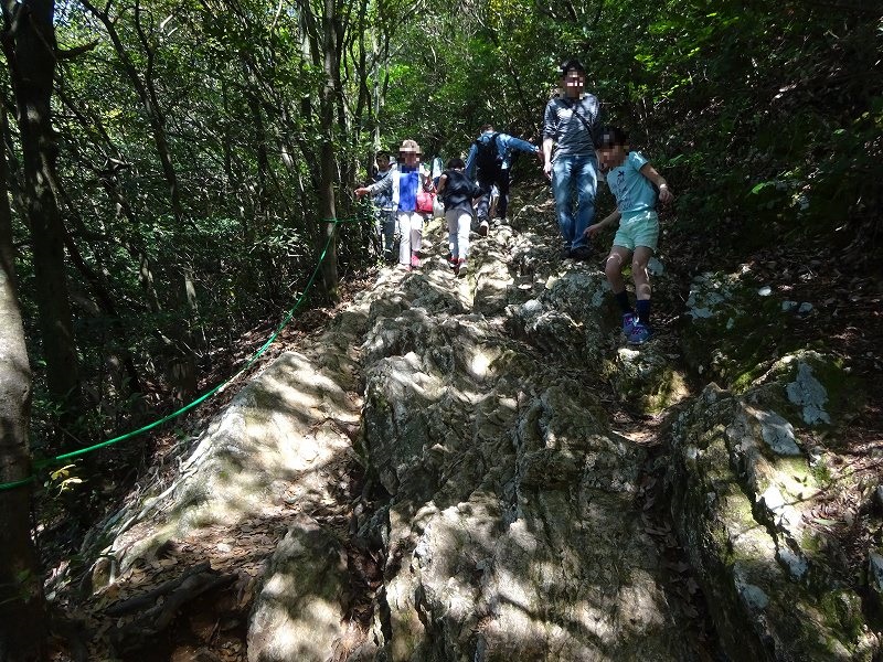 百曲り登山道