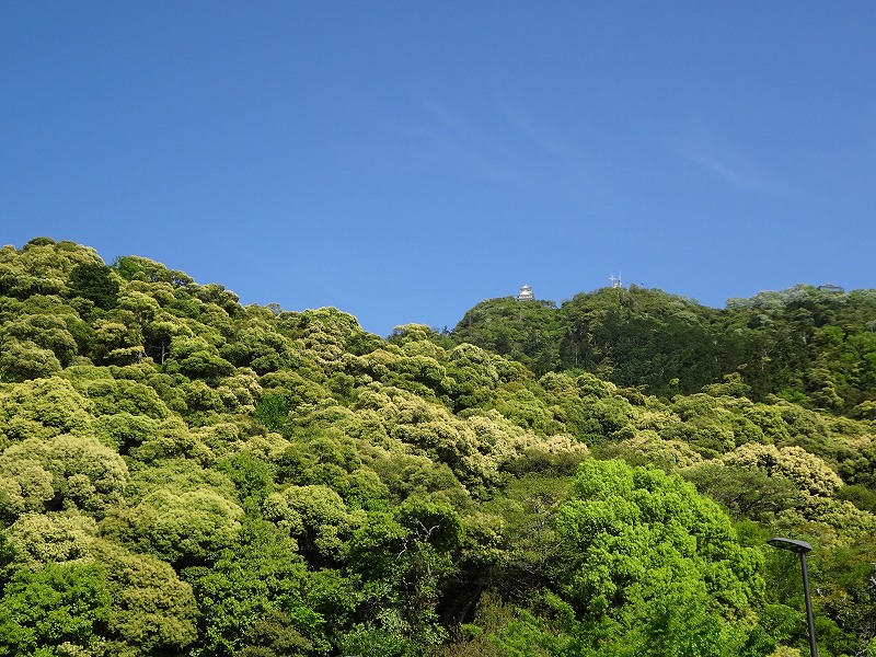 岐阜城