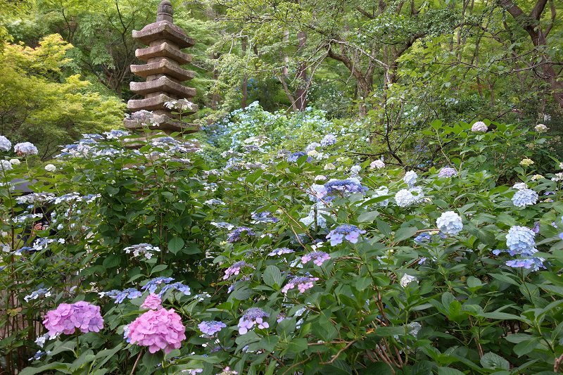 高幡不動尊