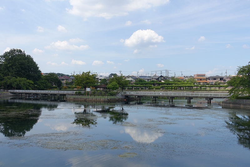 城山公園　長池