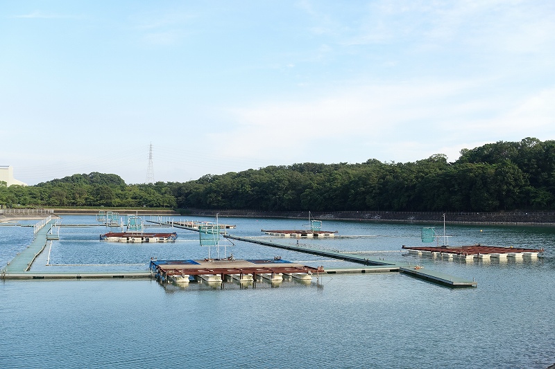 保田ヶ池公園