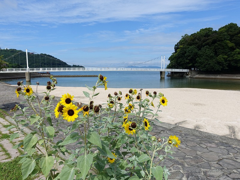 湯の児温泉