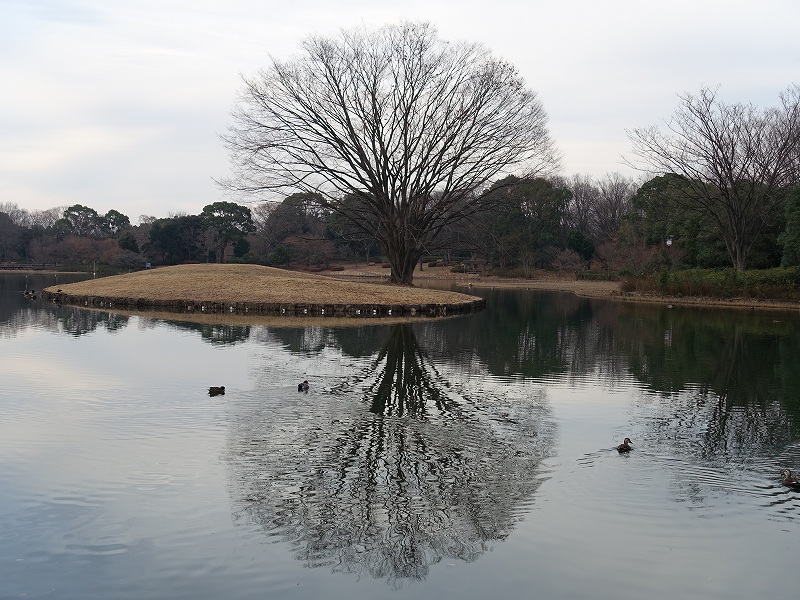 国営昭和記念公園