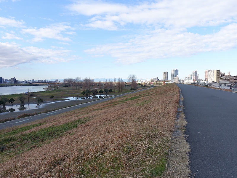 荒川の堤防