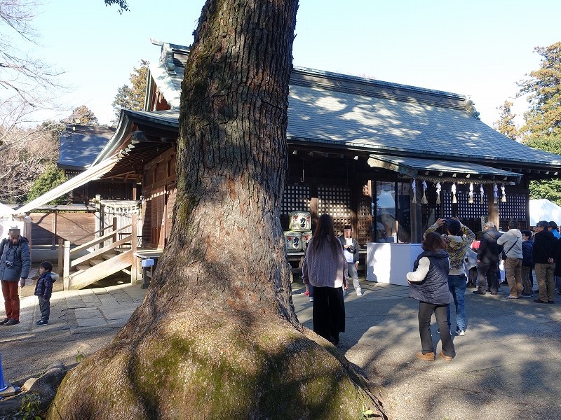 鷲宮神社　拝殿