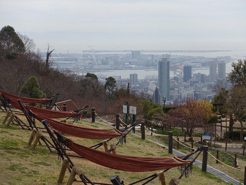 布引ハーブ園　風の丘芝生広場