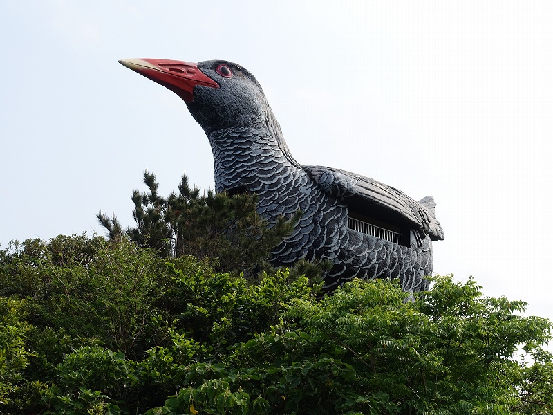 ヤンバルクイナ展望台