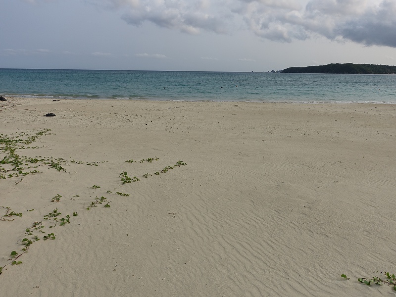 福地川海浜公園