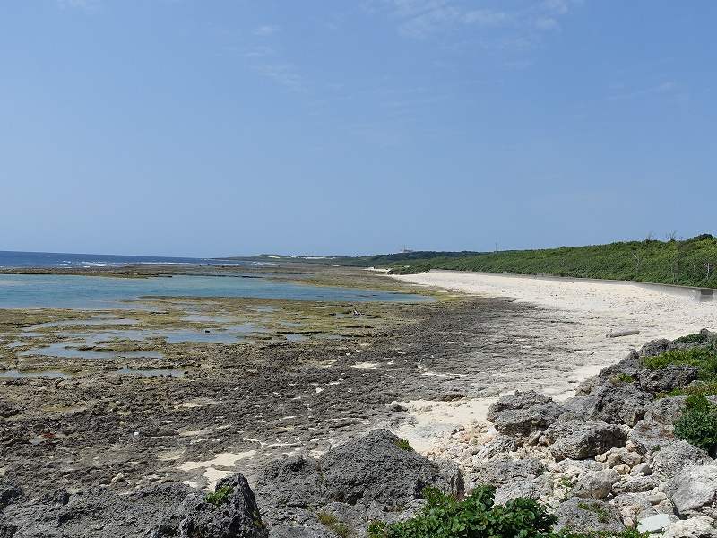 大度浜海岸