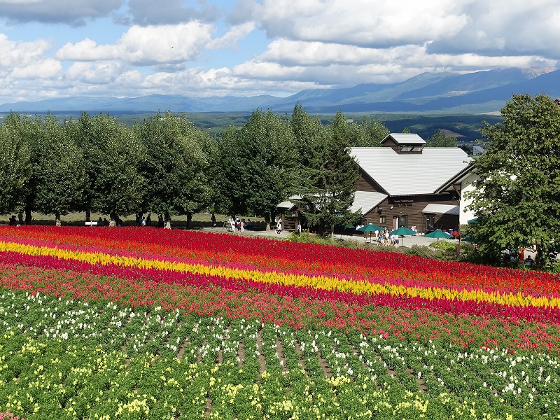 ファーム富田