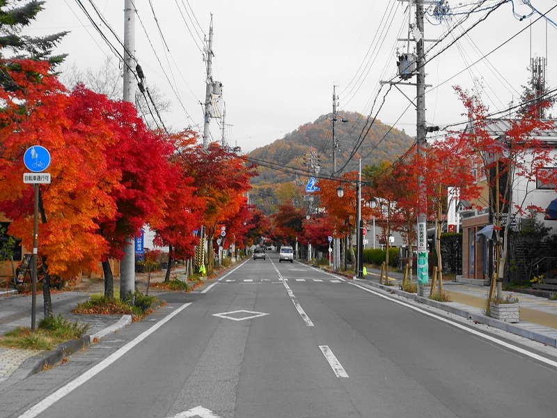 軽井沢本通り