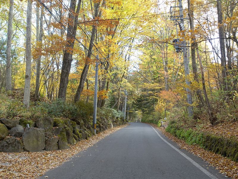 旧軽井沢峠道