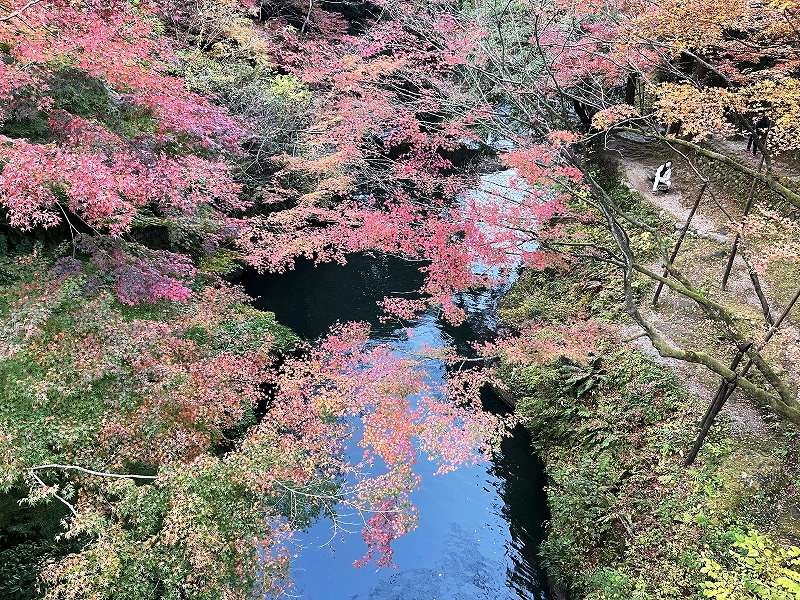 こおろぎ橋