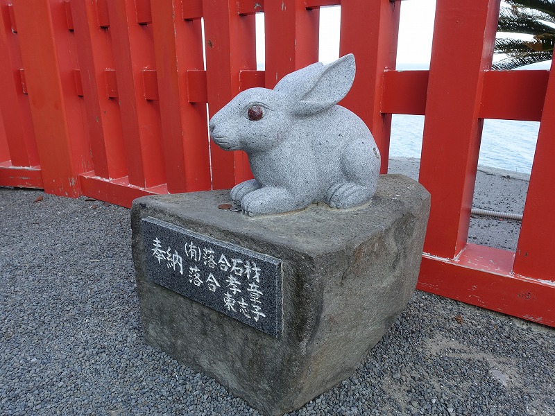 鵜戸神宮 うさぎ