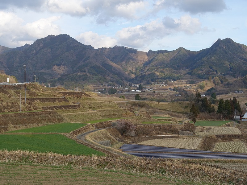 栃又の棚田