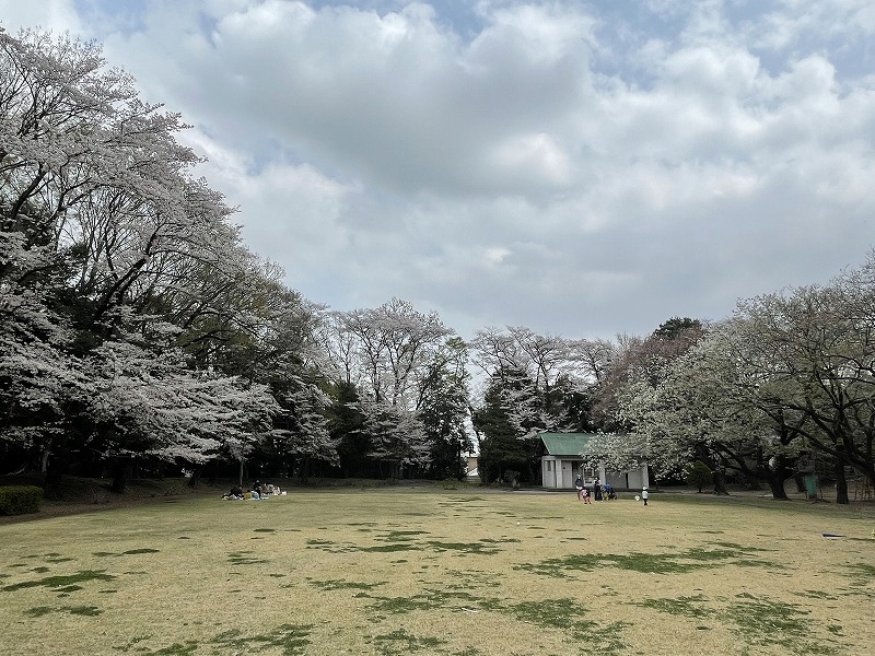 城山公園