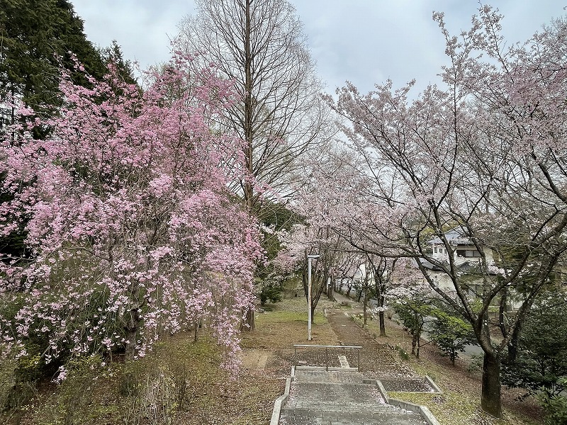 陶芸メッセ・益子