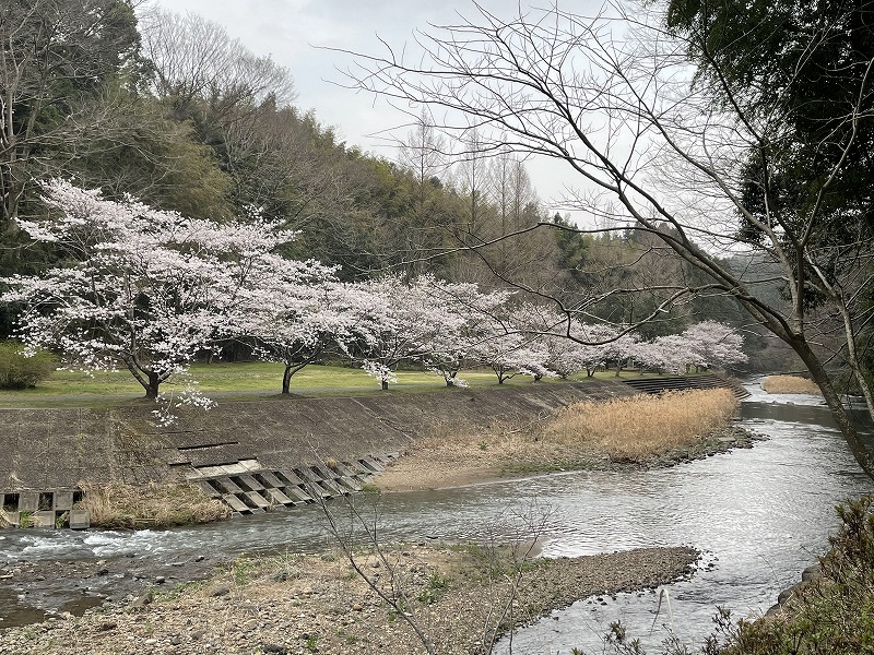 龍門の滝　江川