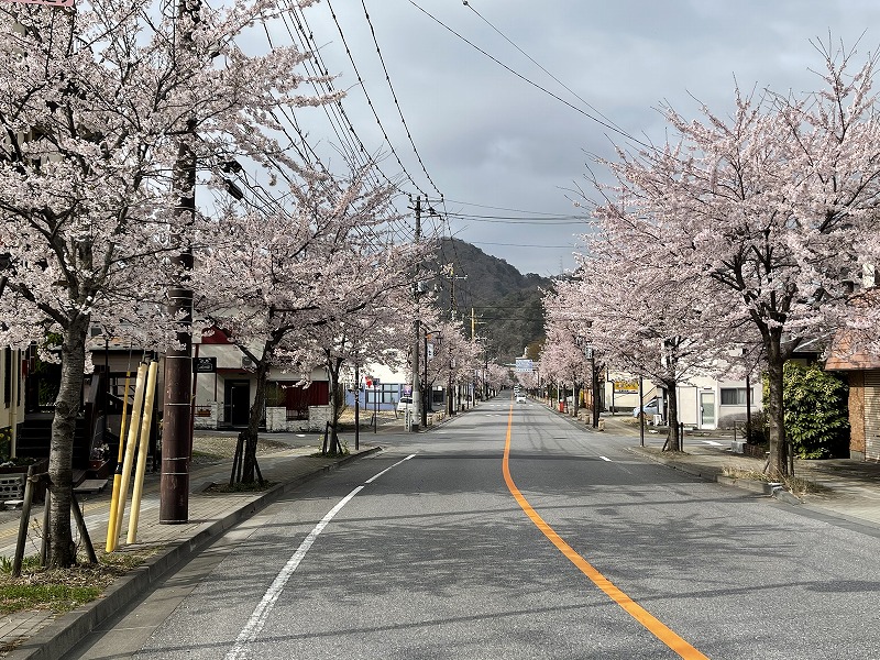 鬼怒川温泉さくら通り