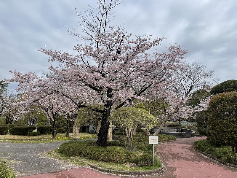 佐野城址