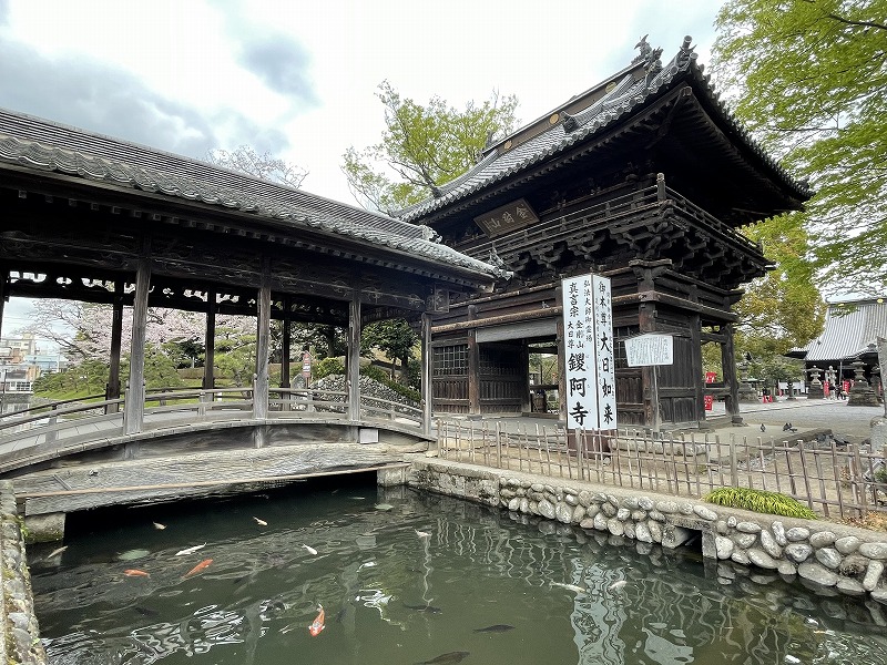 鑁阿寺　太鼓橋