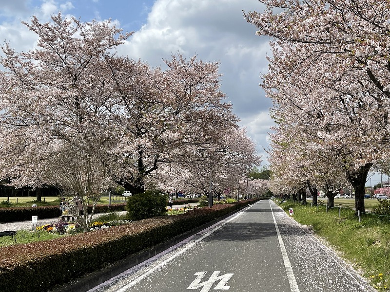 古河総合公園