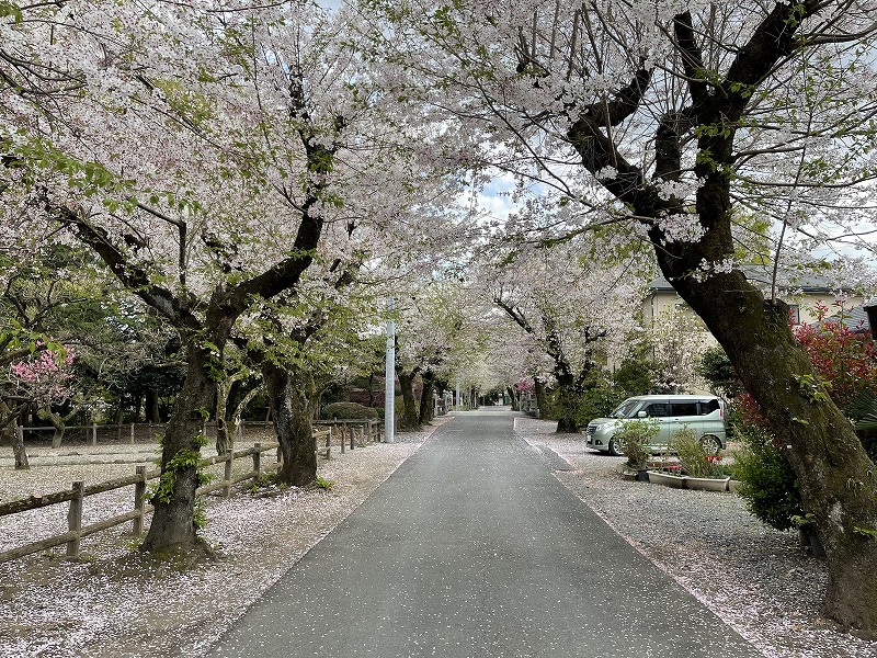 城跡公園