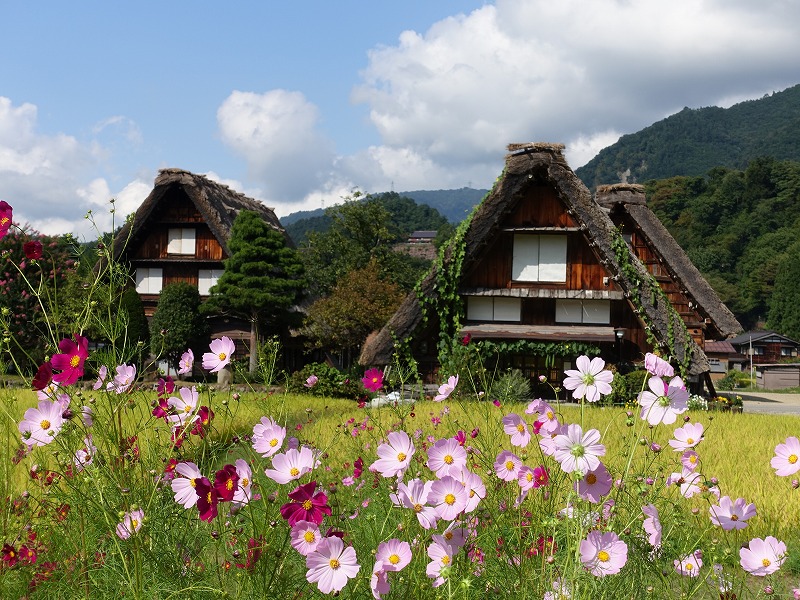 白川郷