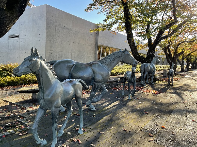 官庁街通り