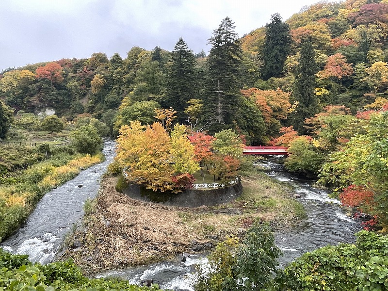 中野もみじ山