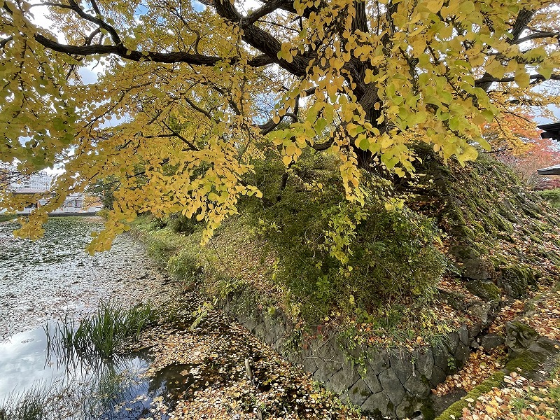 大館城