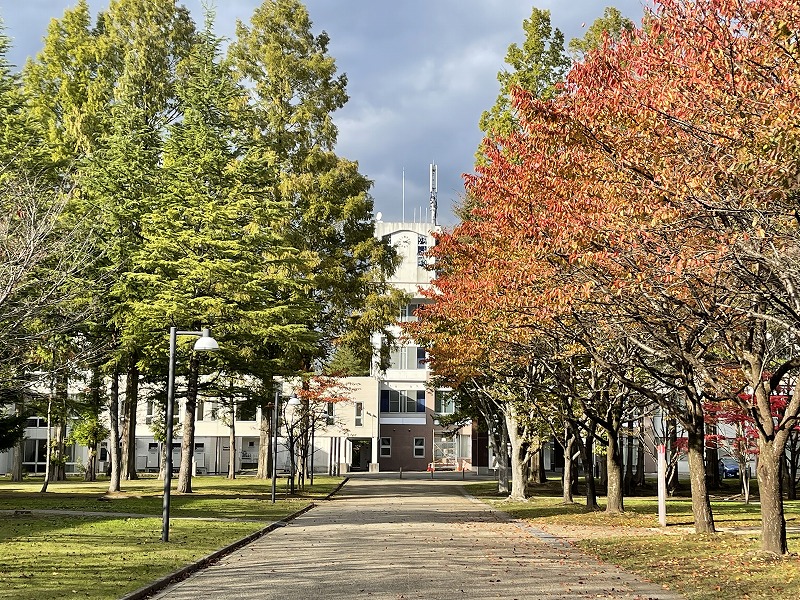 国際教養大学