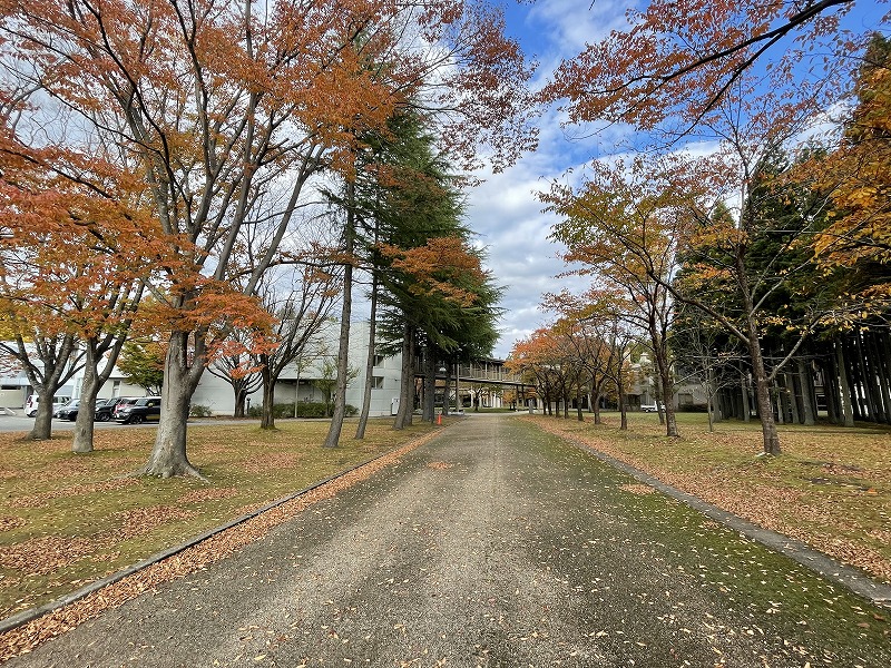 国際教養大学