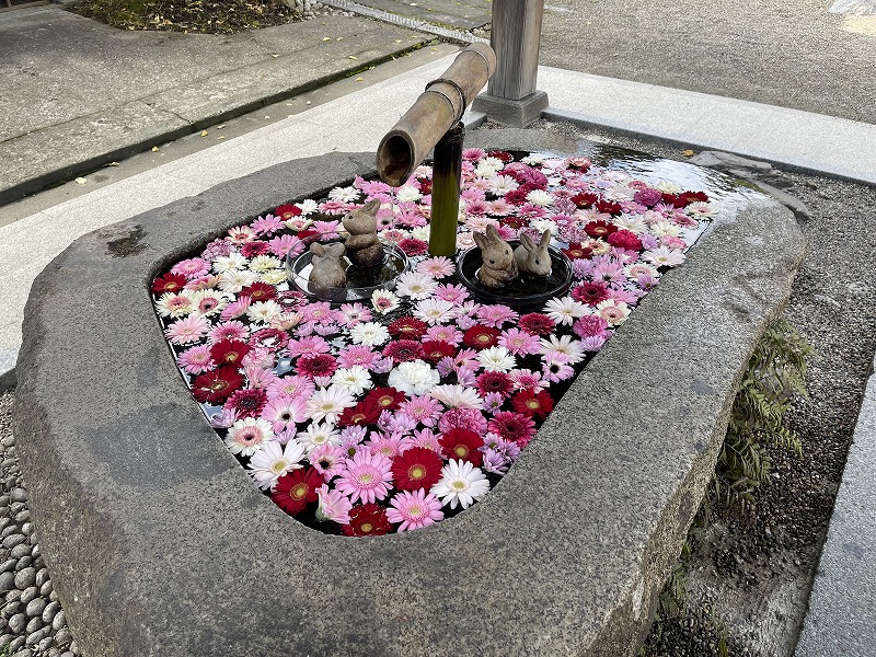 荘内神社　花手水