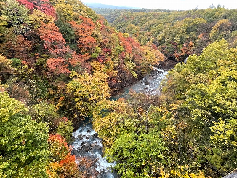 森ノ大橋