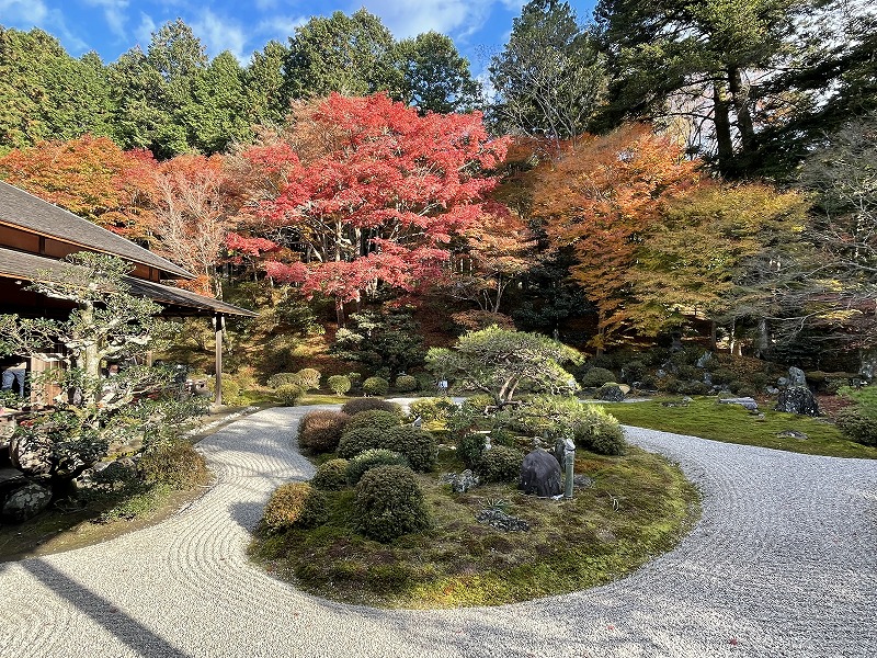 曼殊院庭園