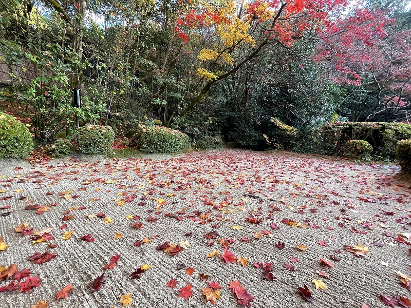 詩仙堂 庭園