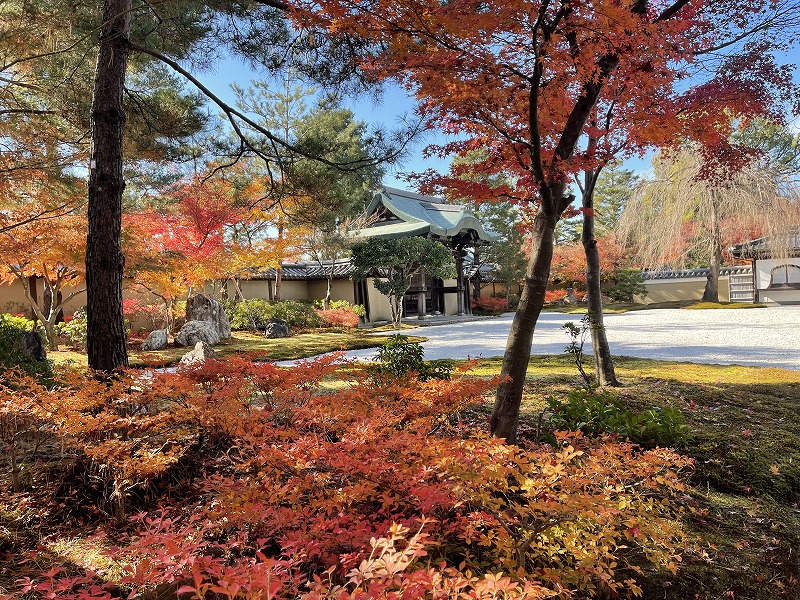 高台寺　方丈前庭