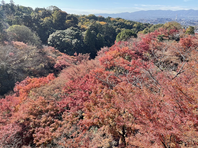 清水の舞台