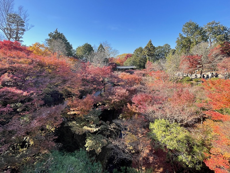 東福寺　通天橋